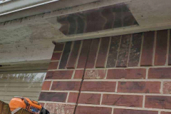 Pest-Control-New-Caney-TX