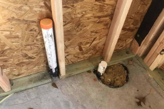 Rodent-Control-Spendora-TX