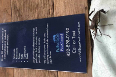 Rodent-Control-SpendoraTX