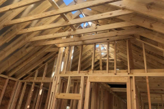 Termite-Control-Porter-TX