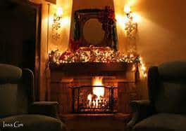 Pest free Kingwood Texas Pest free Kingwood Texas