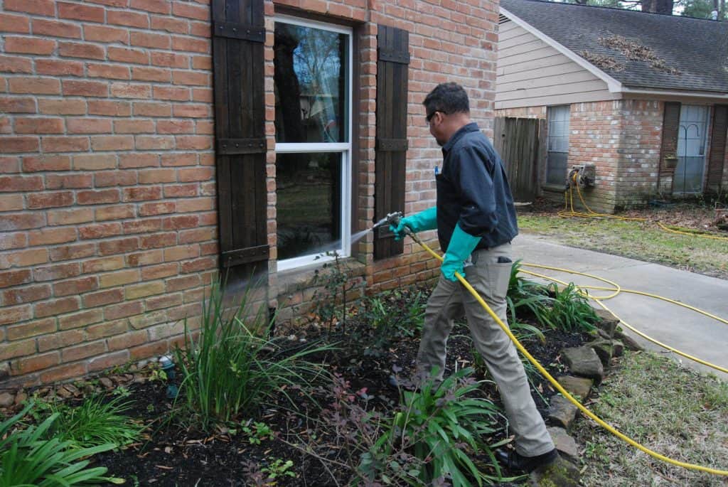 Pressure Spraying to control Springtails Pressure Spraying to control Springtails