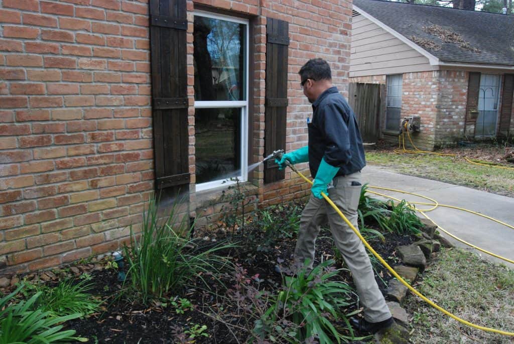 Pressure Spraying to control Springtails