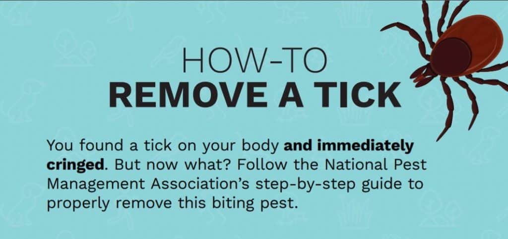 Remove a Tick