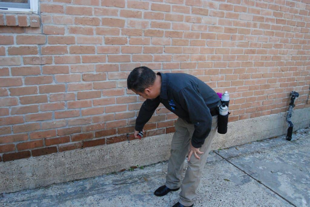 ant inspection ant inspection
