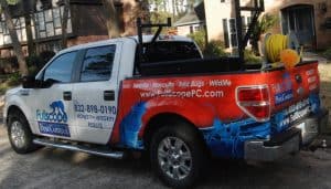 Pest Control in the Houston Area