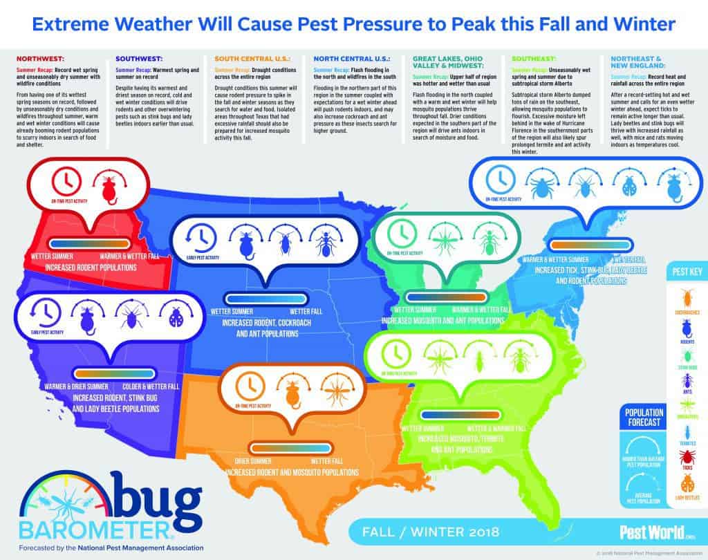 Winter Bug Barometer for the United States