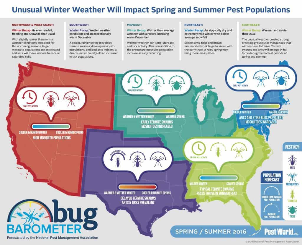 2016 Spring Bug Barometer
