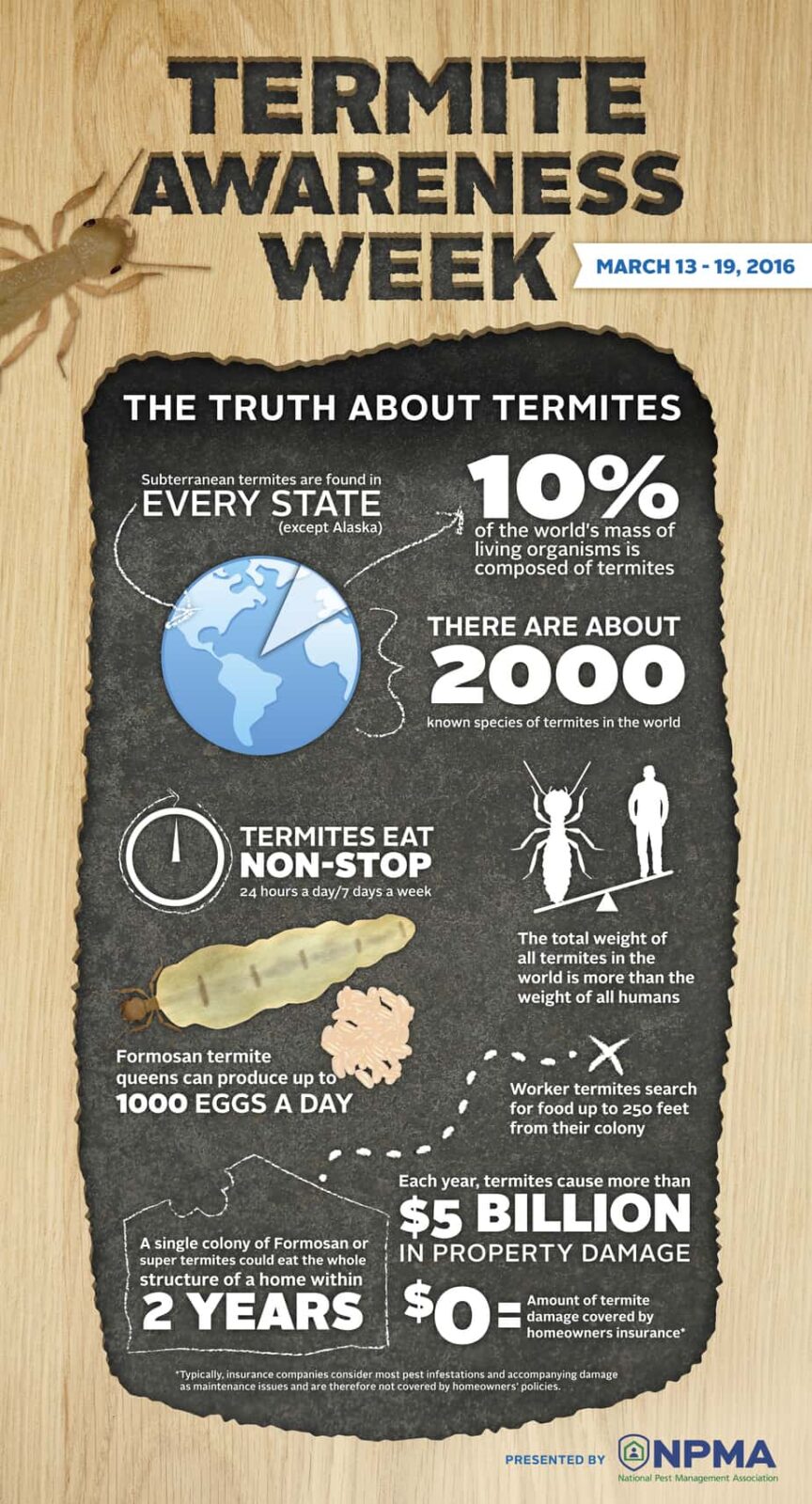 Termite extermination