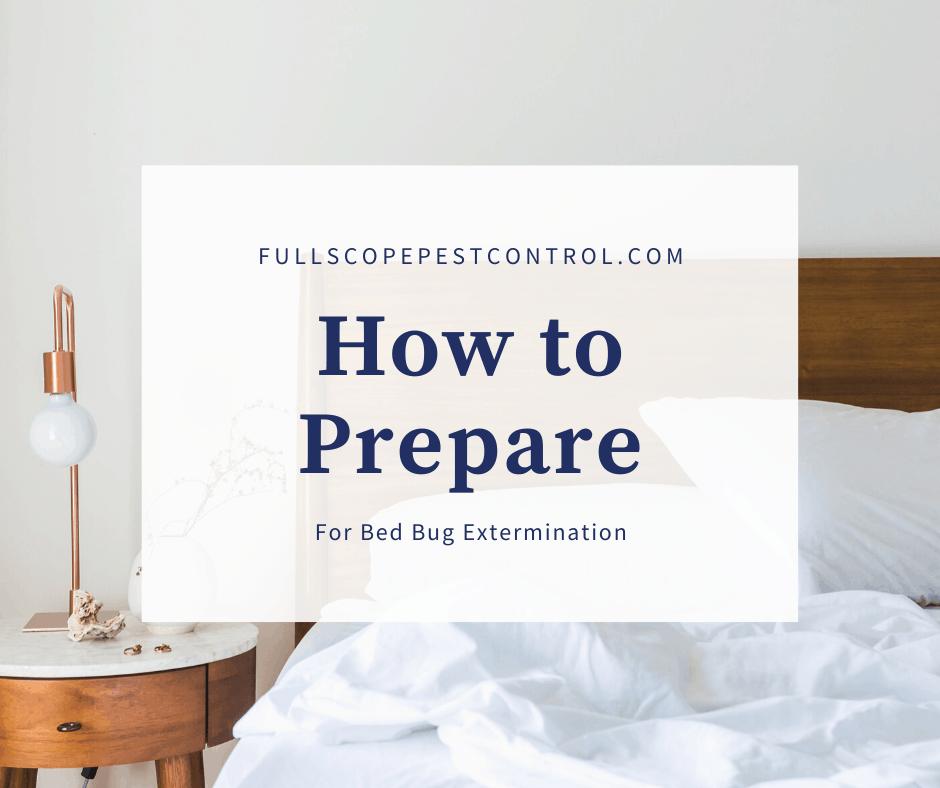 preparation guide for bed bug treatment