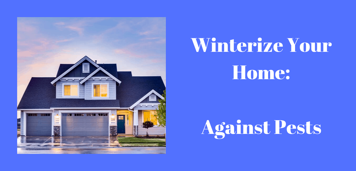 How to winterize your home