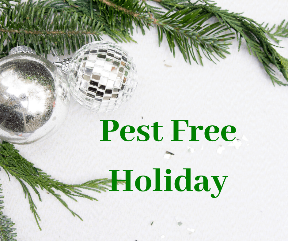 Keeping pest out this holiday