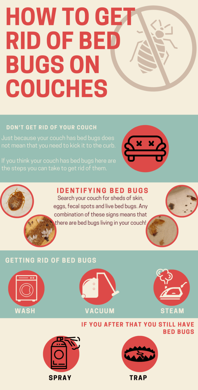 The Importance of literacy 1 How to Remove Bed Bugs from Sofa?