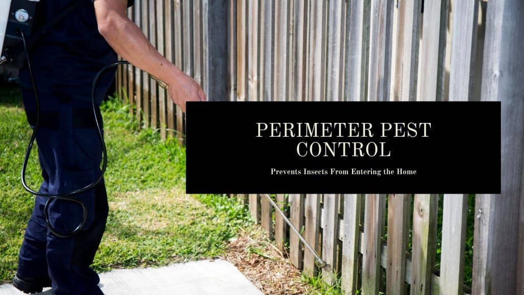 Exterior Pest Control