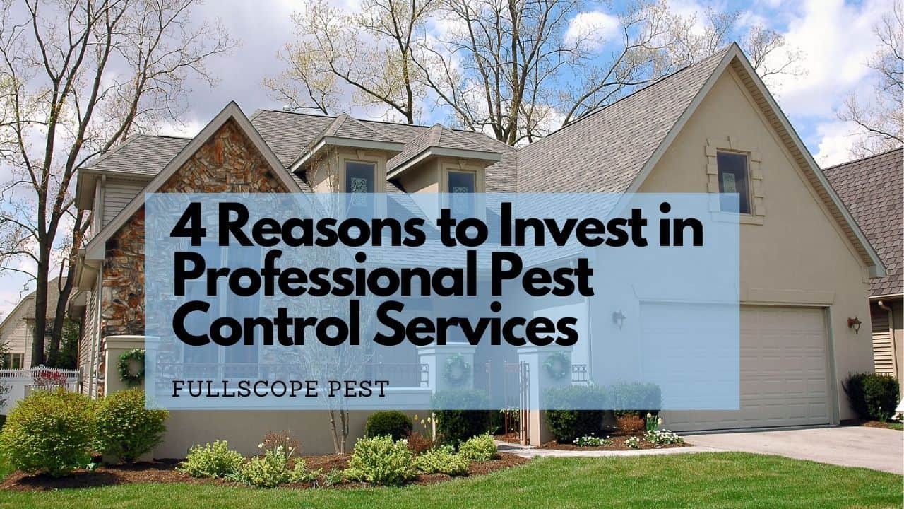 4-Reasons-to-Invest-in-Professional-Pest-Control-Services