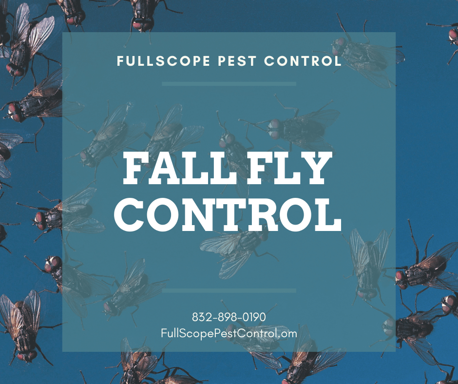 fallflycontrol