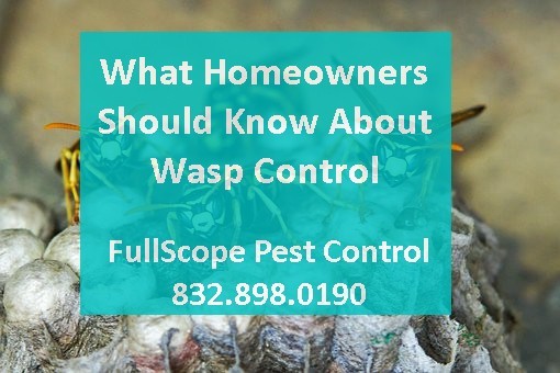 fullscope-wasp-control-2021