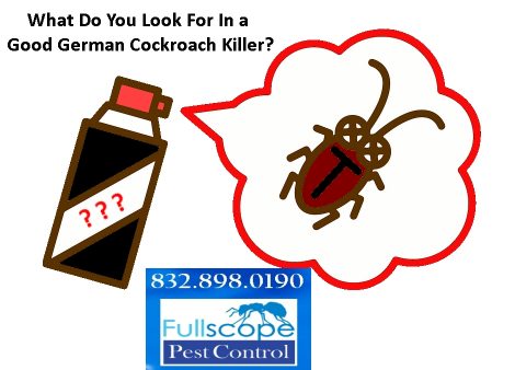 german-cockroach-killer-e1606879942655
