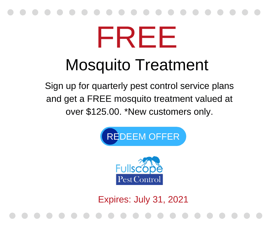Free Mosquito Special
