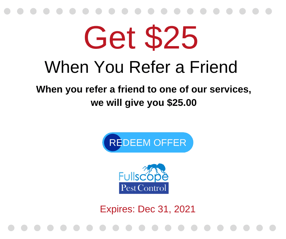 Coupons FullScope