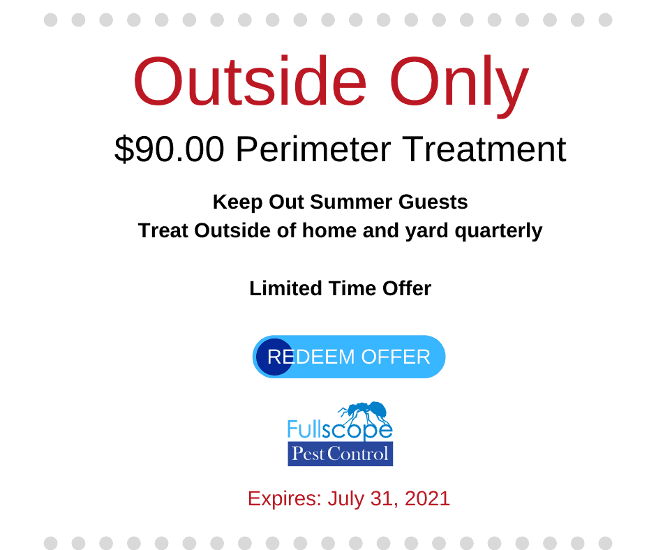 Residential Pest Control Coupon