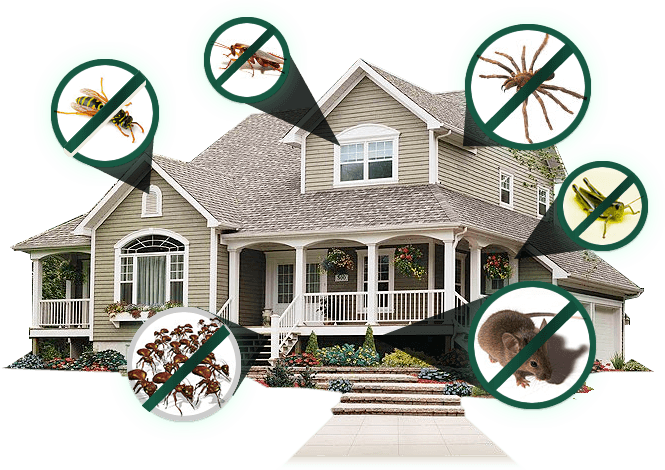 Do It Yourself Pest Control In Humble Texas Full Scope