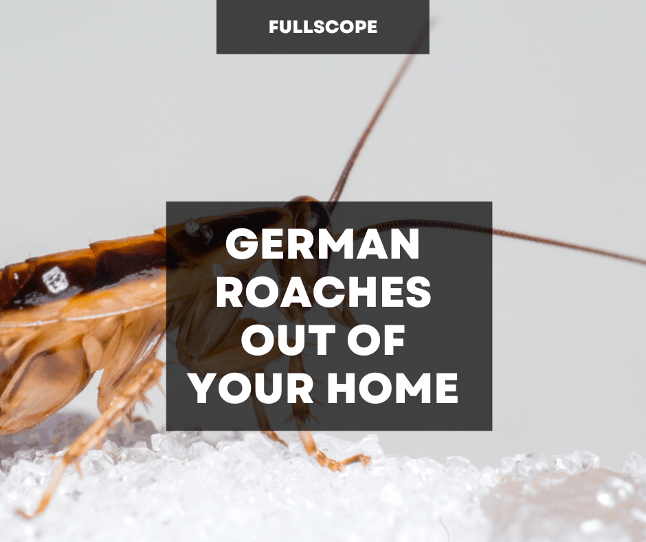 German Roaches Out Your Home | Full Scope Pest Control