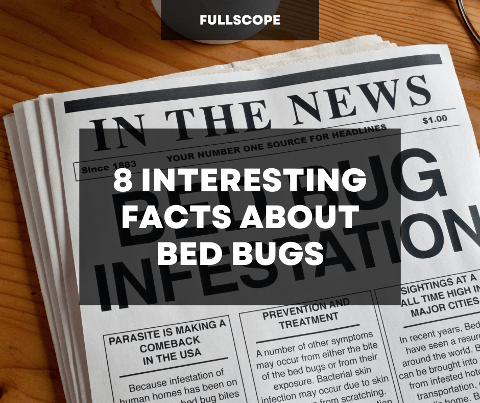 8 Interesting Facts About Bed Bugs | Full Scope Pest Control