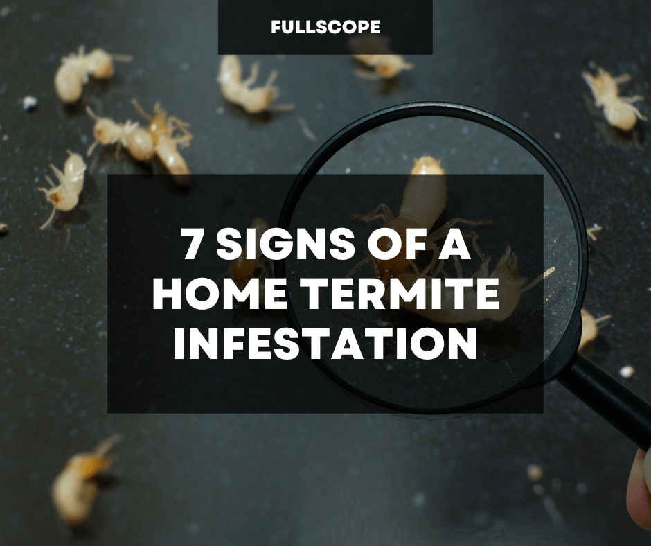 7 Signs Of A Home Termite Infestation | Full Scope Pest Control