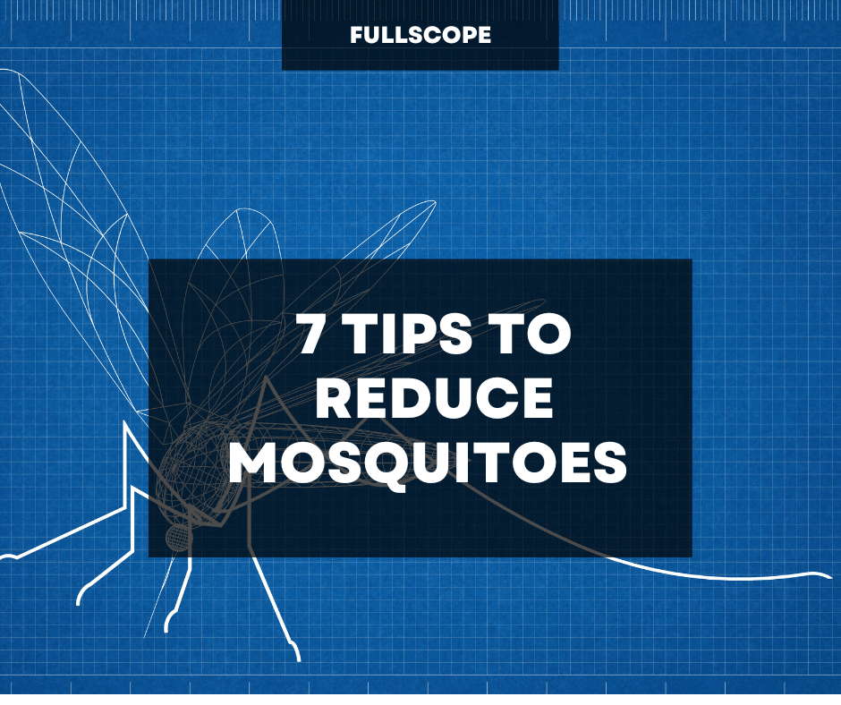 7 Tips to Reduce Mosquitoes Around Your Home and Backyard | Full Scope Pest Control