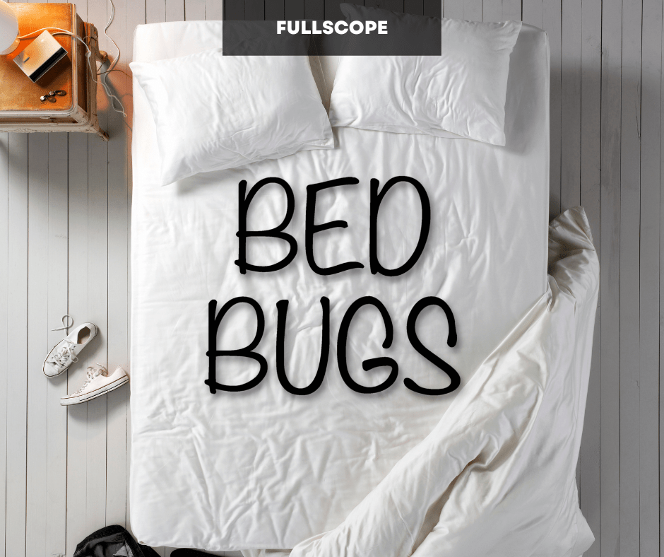 Does heat kill bed bugs | Full Scope Pest Control
