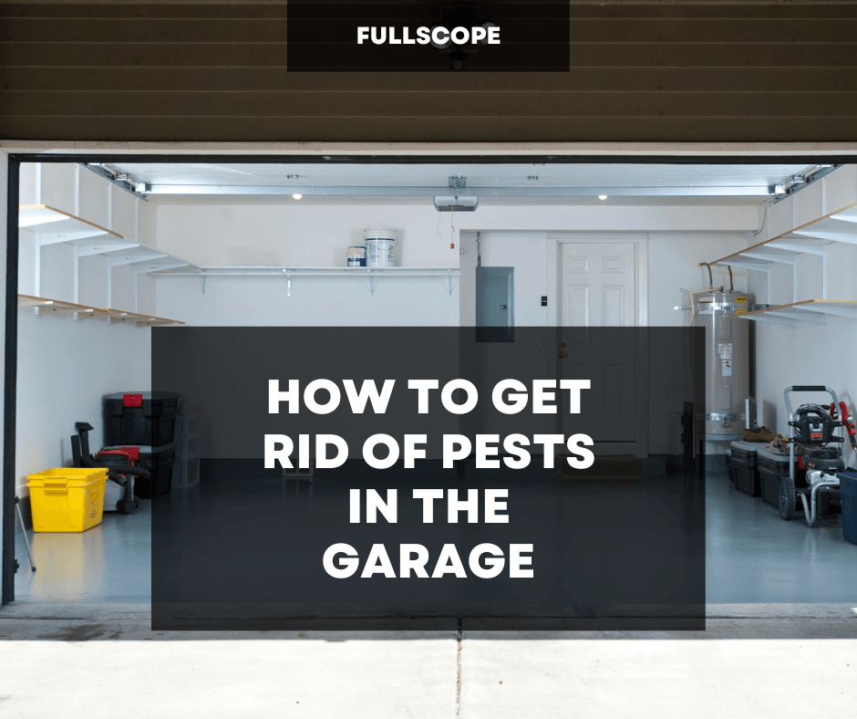 Pest in Garage Extermination | Full Scope Pest Control