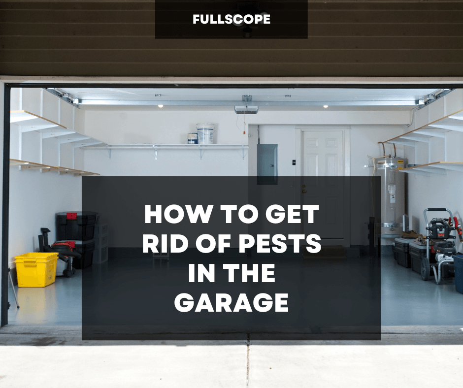 How to Get Rid Of Pests In The Garage | Full Scope Pest Control