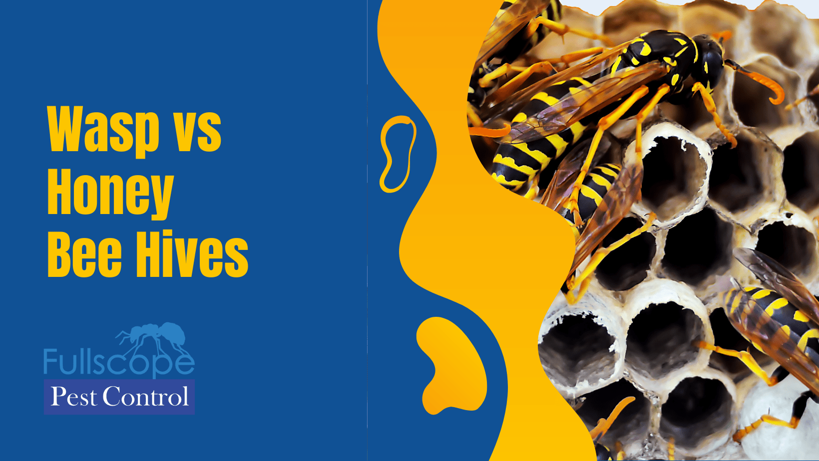 Wasp and Honey Bee Nest: What Homeowners Need To Know