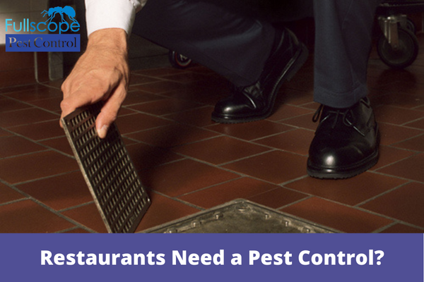 Restaurants-Need-a-Pest-Control