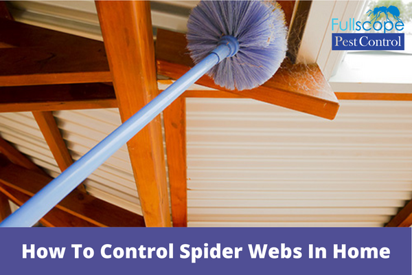 How-To-Control-Spider-Webs-In-Home