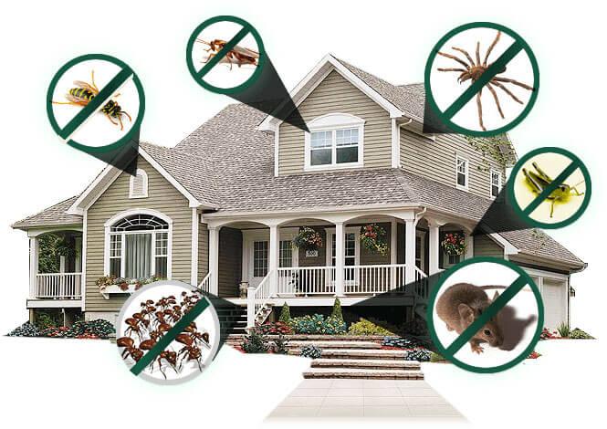 Pest Control Chicago Llc