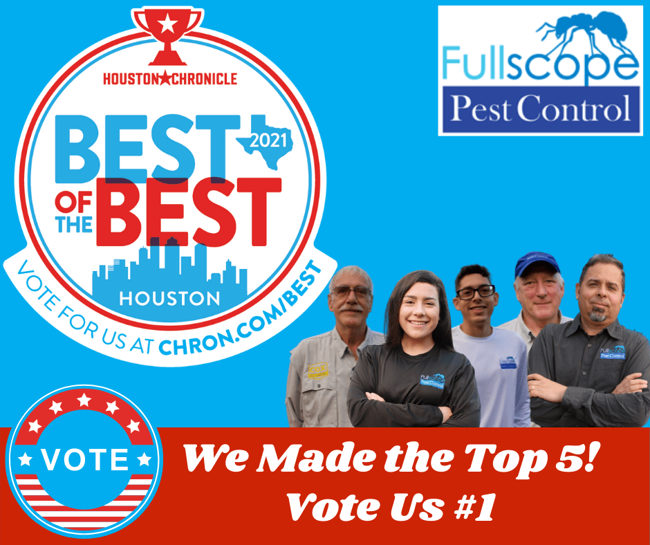 Best of Best Houston