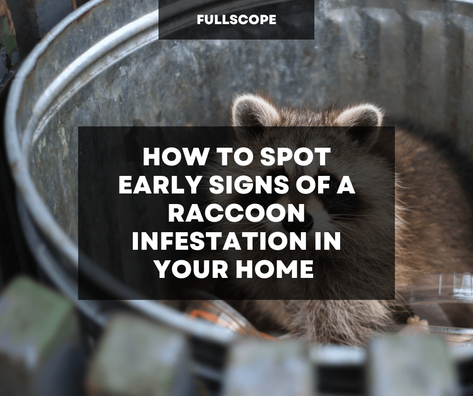 How to Spot Early Signs of a Raccoon Infestation in Your Home