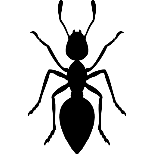 ant