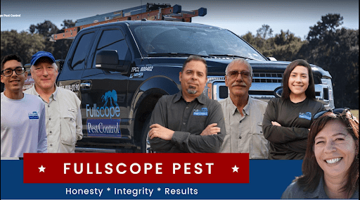 Pest Control Company Conroe TX