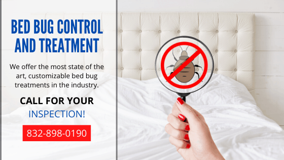 Porter Bed Bugs Control & Treatment: Get Rid of Bed Bugs | Full Scope Pest Control