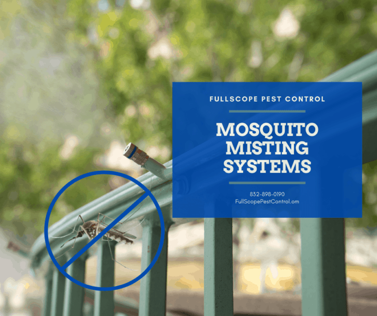 New Caney Mosquito Control & Treatment: Get Rid of Mosquitoes | FullScope