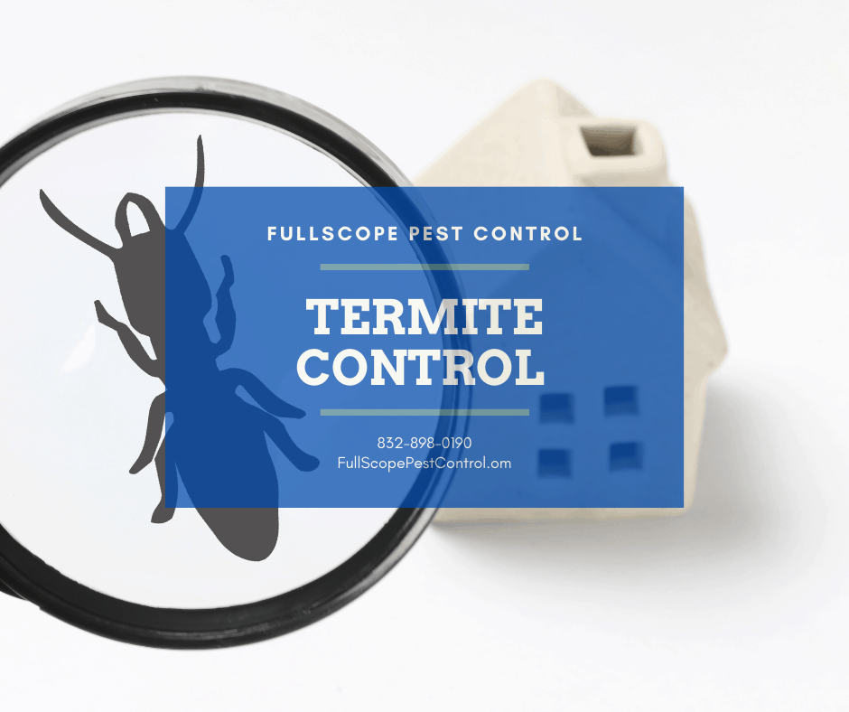 Kingwood Pest Control | Full Scope Pest Control