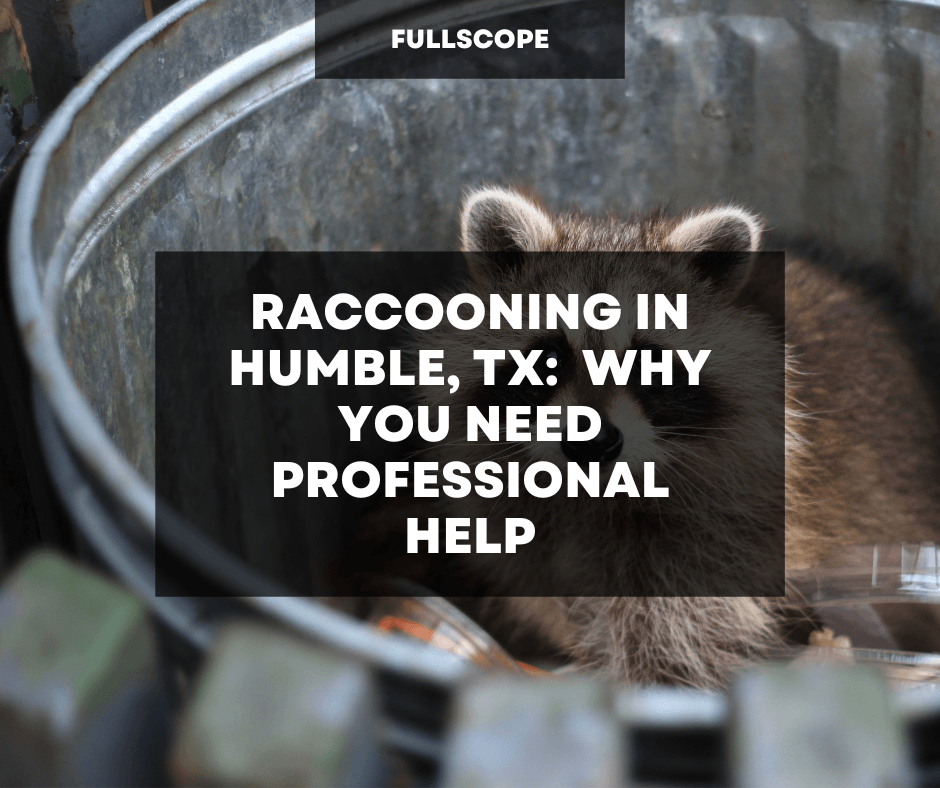 Raccooning in Humble: Why You Need Professional Help| Full Scope Pest Control