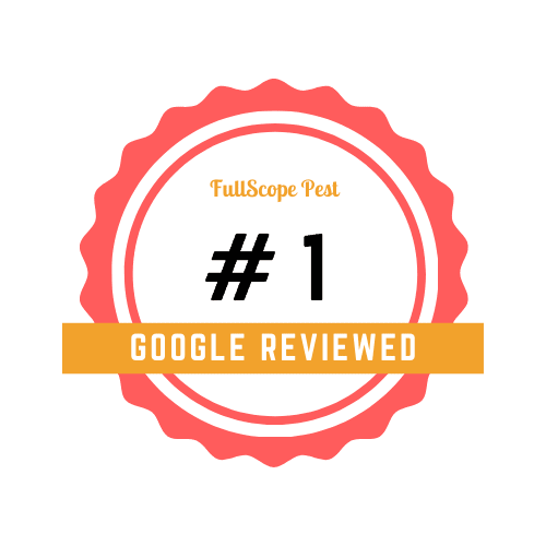 Google Reviewed No.1