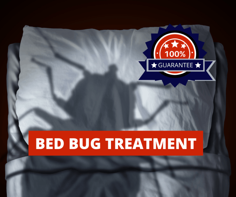 New Caney Bed Bugs Control & Treatment: Get Rid of Bed Bugs | FullScope