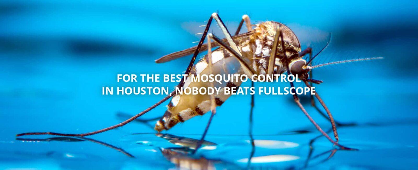 Automatic Spider Mosquito Systems Conroe FullScope Pest Control