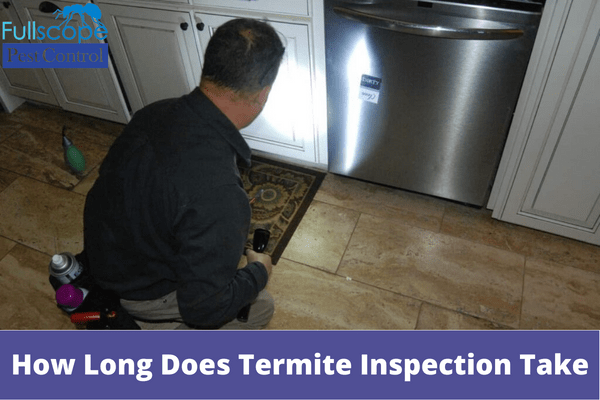 How Long Does Termite Inspection Take | Full Scope Pest Control