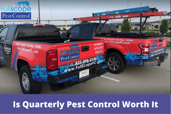 Is Quarterly Pest Control Worth It | Full Scope Pest Control